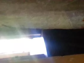 黑白混血儿吮吸和乱搞一个白人