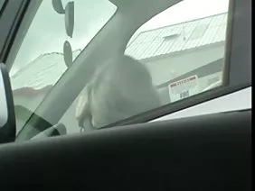 黑人妇女乘坐在一个年轻人的白人成员