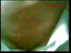 与阿拉伯妇女的性别在被刮的猫的面纱