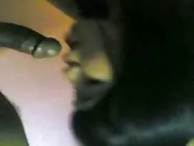 弟弟和妹妹亲吻妈妈的大山雀