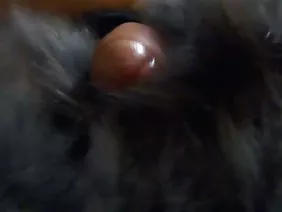 Kachek在街上性交美丽的金发女郎