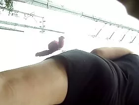 巴西狂欢与黑白混血妇女和黑人妇女