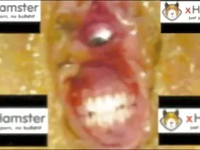 走过两个女朋友的所有洞