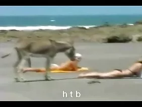 在早上与金发碧眼的温柔性。