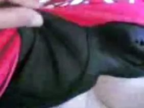 新娘在婚礼上吮吸新娘