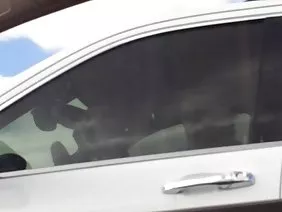混蛋黑发给了健康的黑人