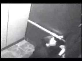在深情的猫的两个性交的年轻荡妇