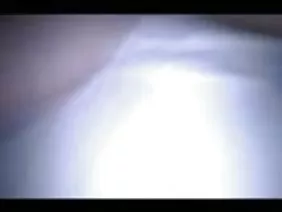 成熟的摩洛伊斯兰解放阵线与大自然山雀吹