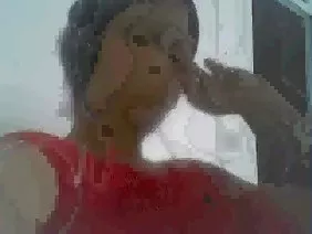 猫兴奋的荡妇面对划定的螺栓
