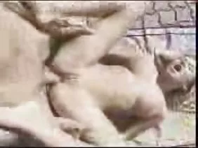 辣椒干了无瑕疵的肛门肛门